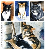 Cat Portraits from Cats of Karavella Atelier
