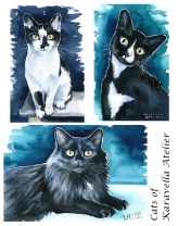 Black and white cat paintings by dora Hathazi Mendes