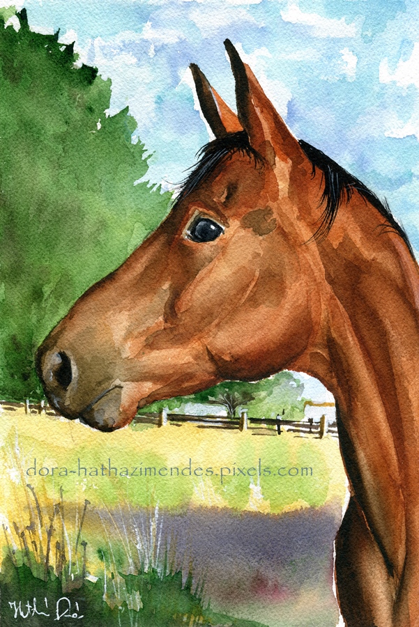 Eddie Watercolor Horse Painting – Karavella Atelier – Paintings from Portugal