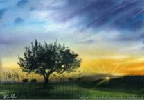Olive Tree in Sunset at Campo Maior Alentejo Portugal painting by Dora Hathazi Mendes